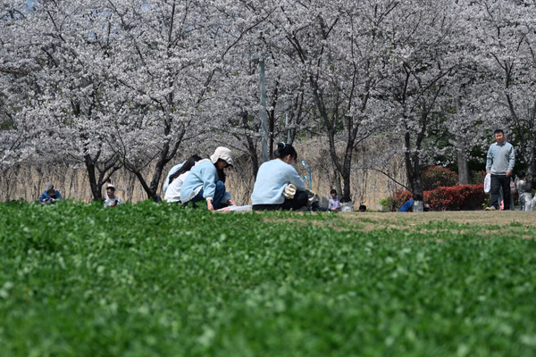 青草地